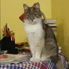 Отзыв от Клавдия Сафонова